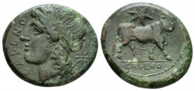 Campania, Cales Bronze circa 265-240, Æ 20mm., 6.34g. Laureate head of Apollo l.; in r. field, star. Rev. Man-headed bull standing r., head facing; be...