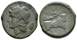 Campania, Suessa Bronze circa 265-240, Æ 20mm., 7.08g. . Laureate head of Apollo l.; in r. field, shield. Rev. Man-faced bull advancing r.; above, fly...