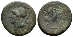 Campania, Suessa Bronze circa 265-240, Æ 19mm., 4.18g. Helmeted head of Minerva l. Rev. Cockerel r. SNG Copenhagen 588. SNG France 1177. Historia Numo...