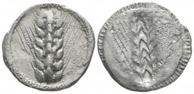 Lucania, Metapontum Nomos circa 510-480, AR 25mm., 7.31g. , AR 25mm, 7.31g. Barley-ear. Rev. Same type incuse. Noe 120. Historia Numorum Italy 1482.
...