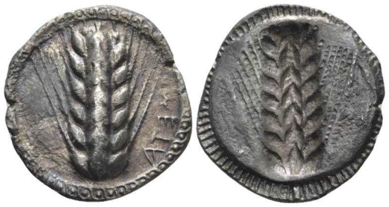 Lucania, Metapontum Nomos circa 510-460, AR 24mm., 7.48g. Ear of barley. Rev. Sa...