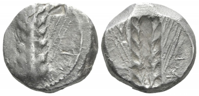 Lucania, Metapontum Nomos circa 470-440, AR 18mm., 7.68g. Barley ear; in l. fiel...