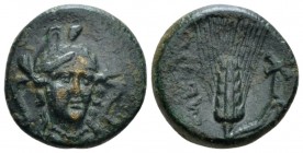 Lucania, Metapontum Bronze circa 280-250, Æ 16.9mm., 4.30g. Head of Athena facing slightly r., wearing triple-crested helmet. Rev. Ear of barley; in r...