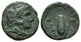 Lucania, Metapontum Bronze circa 280-250, Æ 14mm., 2.50g. Head of Heracles r., wearing lion's skin headdress. Rev. Ear of barley. Johnston, Bronze 60....
