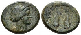Lucania, Metapontum Bronze circa 225-200, Æ 18mm., 5.00g. Wreathed head of Demeter r. Rev. Two grain ears. Johnston, Bronze 79; Historia Numorum Italy...