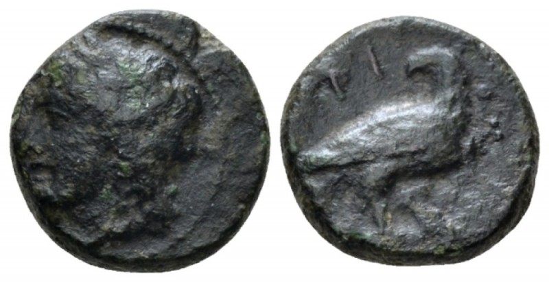 Sicily, Agrigentum Bronze circa 287-279, Æ 14mm., 2.80g. Laureate head of Apollo...