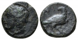 Sicily, Agrigentum Bronze circa 287-279, Æ 14mm., 2.80g. Laureate head of Apollo l. Rev. Eagle standing r., looking back. Calciati 119. SNG ANS 1125....