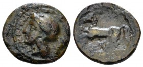 Sicily, Camarina Tetras circa 339-317, Æ 17mm., 3.33g. Helmeted head of Athena l. Rev. Horse prancing l.; in exergue, [barley ear]. Calciati 42. SNG A...