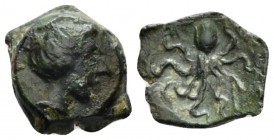 Sicily, Eryx Bronze circa 330-260, Æ 15mm., 1.68g. Head of female r. Rev. Octopus. Campana 55. Calciati 24.

Nice green patina, Good Very Fine/About...