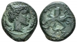 Sicily, Syracuse Trias circa 415-410, Æ 17mm., 4.32g. Head of Arethusa r.; dolphins flanking. Rev. Octopus; three pellets around. Calciati 1.

Nice ...