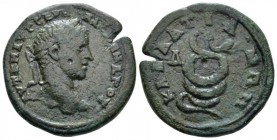 Moesia, Callatis Severus Alexander, 222-235 Bronze circa, Æ 26mm., 9.52g. Laureate head r. Rev. serpent coiled advancing r. RPC VI 1194. AMNG 334.
 ...