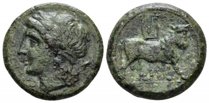 Campania, Cales Bronze circa 265-240, Æ 21mm., 7.04g. Laureate head of Apollo l....
