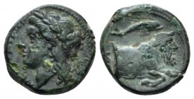 Campania, Neaoplis Bronze circa 250-225, Æ 11.9mm., 1.25g. Laureate head of Apollo l. Rev. Forepart of man-faced bull r. HN Italy 597.

Attractive l...