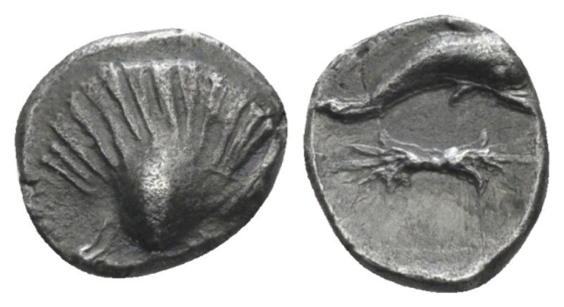 Calabria, Tarentum Obol (?) circa 325-280, AR 10mm., 0.60g. Shell. Rev. Dolphin ...