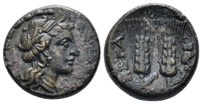 Lucania, Metapontum Bronze circa 225-200, Æ 16mm., 4.50g. Head of Demeter r., we...