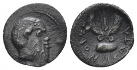 Sicily, Catana Litra circa 460-450, AR 14mm., 0.65g. Ivy-wreathed head of Silenus r. Rev. Winged thunderbolt between two shields. Boehringer ICIN, Li3...