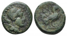 Troas, Abydus Bronze circa 320-200, Æ 12.2mm., 2.29g. Bust of Artemis r. Rev. Eagle standing r. SNG Copenhagen 42. SNG von Aulock –.

Very Fine.