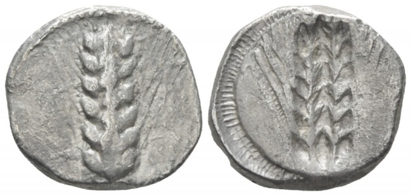 Lucania, Metapontum Nomos circa 470-440, AR 18mm., 7.58g. Ear of barley. Rev. Th...