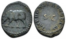 Domitian, 81-96 Quadrans circa 84-85, Æ 16mm., 1.54g. Legend around SC. Rev. Rhinoceros advancing l. C 673. RIC 248.

Very Fine.