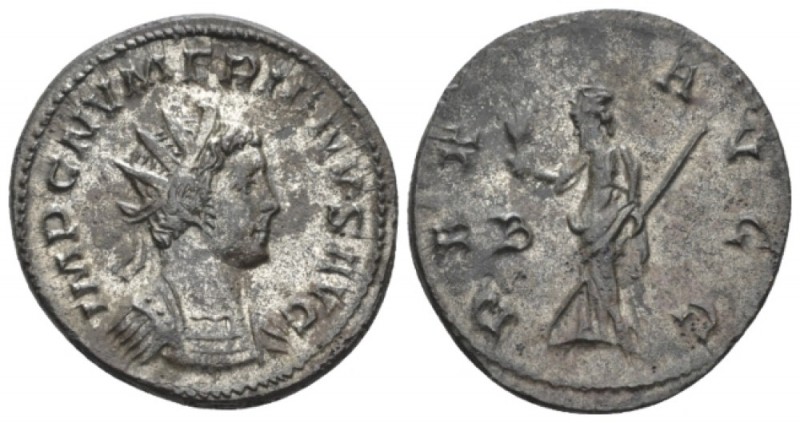 Numerian, 283-284 Antoninianus circa 283-284, billon 23mm., 4.14g. Radiate, drap...