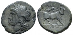 Campania, Cales Bronze circa 265-240, Æ 20mm., 6.0g. Laureate head of Apollo l. Rev. Man-headed bull standing r., head facing. SNG ANS 184. Historia N...
