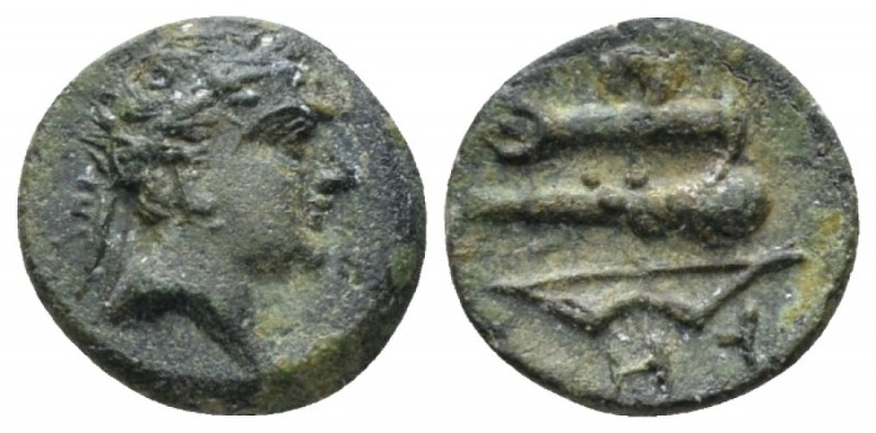 Lucania, Heraklea Bronze circa 276-250 and later, Æ 12mm., 1.12g. Head of Heracl...