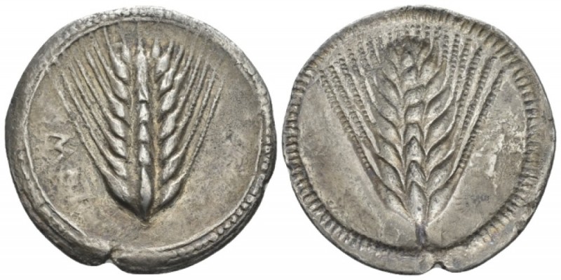 Lucania, Metapontum Nomos circa 540-510, AR 30mm., 6.49g. Ear of barley. Rev. Th...