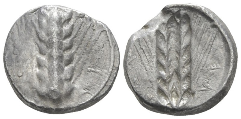 Lucania, Metapontum Nomos circa 470-440, AR 18mm., 7.60g. Ear of barley. Rev. Th...