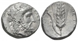 Lucania, Metapontum Nomos circa 330-320, AR 20mm., 7.92g. Laureate head of Zeus r. Rev. Ear of barley with leaf to l., upon which, crouching Silenus. ...