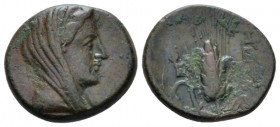 Lucania, Metapontum Bronze circa 280-250, Æ 16mm., 3.13g. Veiled head Demeter r. Rev. Ear of barley with leaf on l. Historia Numorum Italy 1693. SNG A...