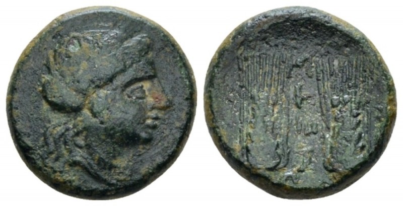 Lucania, Metapontum Bronze circa 225-200, Æ 17mm., 4.65g. Wreathed head of Demet...