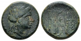 Lucania, Metapontum Bronze circa 225-200, Æ 17mm., 4.65g. Wreathed head of Demeter r. Rev. Two grain ears. Johnston, Bronze 79; Historia Numorum Italy...