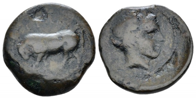 Sicily, Gela Tetras circa 420-405, Æ 18mm., 3.75g. Bull standing l. Rev. Horned ...