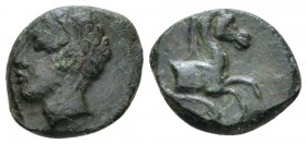 Sicily, Panormus as Ziz Bronze circa 317-280, Æ 12mm., 2.04g. Laureate head of Apollo l. Rev. Forepart of horse; dolphin r. Calciati 12. Lindgren II, ...