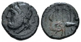 Sicily, Syracuse Bronze circa 214-212, Æ 12mm., 2.04g. Diademed head of Poseidon l.; in r. field, dolphin. Rev. Decorated trident; flanking by dolphin...