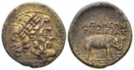 Seleucis ad Pieria, Apamea Bronze I cent, Æ 22mm., 8.78g. Laureate head of Zeus r. Rev. Elephant walking r. HGC 9, 1419. DCA 410.

Nice light brown ...