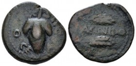 Hispania, Acinipo Semis First half I cent., Æ 22.3mm., 6.65g. Bunch of grapes; above l, star. Rev. ACINIPO between two grain ears. CNH 12. MH 491
 
...
