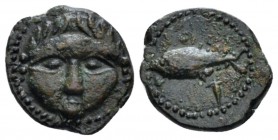 Hispania, Gadir 1/4 unit circa 237-206, Æ 12.3mm., 1.28g. Facing gorgoneion. Rev. Tuna l. CNH 44. MH 79.
 
 Extremely Fine.
