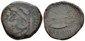 Hispania, Gades Unit II-I cent., Æ 24.6mm., 11.10g. Head of Herakles-Melqart l., wearing lion's skin. Rev. Rev. Two tunnies left, pellet within cresce...