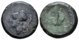 Campania, Cales Bronze circa 265-260,, Æ 20mm., 7.00g. Head of Athena l., wearing Corinthian helmet. Rev. Cock standing r.; in l. field, star. SNG ANS...