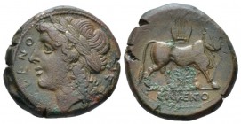 Campania, Cales Bronze circa 265-240, Æ 20.8mm., 7.03g. Helmeted head of Minerva left Rev. CALENO Cock standing right; in field l., star. Sambon 916. ...