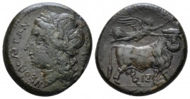Campania, Neapolis Bronze circa 275-250, Æ 19.1mm., 5.80g. Laureate head of Apollo l.; behind, Σ. Rev. Man-headed bull walking r., head facing; above,...