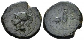 Campania, Suessa Bronze circa 265-240, Æ 21.5mm., 6.18g. Helmeted head of Minerva left. Rev. Cockerel right. SNG Copenhagen 588. SNG France 1177. Hist...