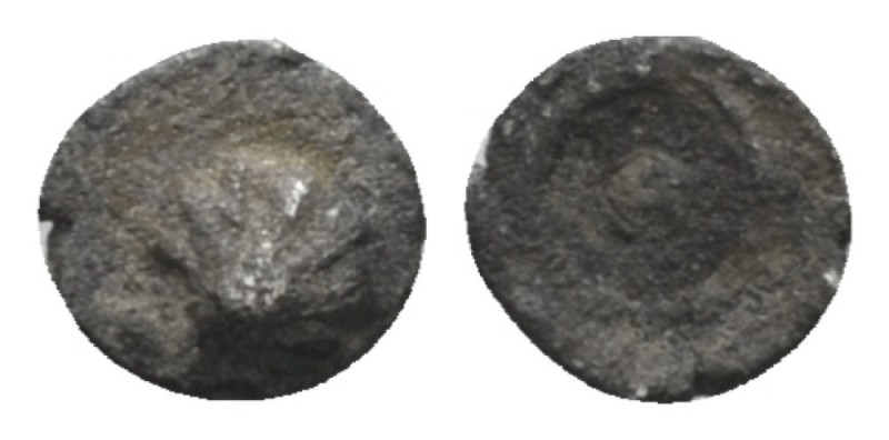 Calabria, Tarentum Hexante or Sixth of litra circa 480-470, AR 5mm., 0.07g. Shel...