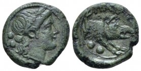 Lucania, Poseidonia As Paestum. Sextans circa 218-201, Æ 16.5mm., 3.38g. Head of Ceres r.; behind, two pellets. Rev. Forepart of boar r. Crawford, Pae...