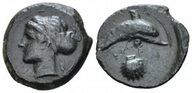 Sicily, Syracuse Hemilitron circa 405, Æ 18.2mm., 3.28g. Head of Arethusa l., hair bound in ampyx and sphendone; two leaves to r. Rev. Dolphin swimmin...