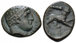 Sicily, Syracuse Bronze circa 295-289, Æ 22mm., 6.38g. Diademed head of Herakles r., hair bound with tainia. Rev. Lion standing r., raising foreleg; c...