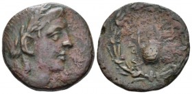 Islands off Caria, Cos Bronze II-I cent., Æ 23mm., 8.11g. Laureate head of Apollo r. Rev. Lyre within wreath. SNG Copenhagen 665. SNG Munchen 524.
 ...