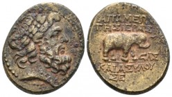 Seleucis ad Pieria, Apamea Bronze I cent., Æ 23mm., 8.74g. Laureate head of Zeus r. Rev. Elephant walking r. HGC 9, 1419. DCA 410.

Light brown tone...