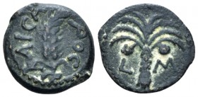 Judaea, M. Ambibulus, 9-12. Jerusalem Prutah circa 10 (year 40 of Augustus), Æ 16mm., 2.43g. Ear of grain curved r. Rev. Palm tree; in field, L-M . Me...